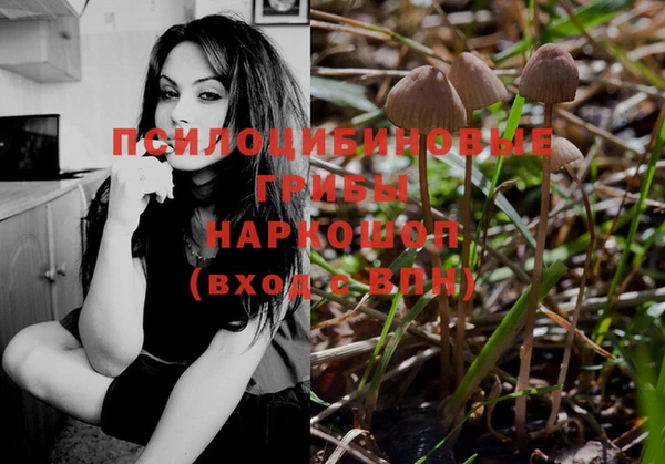 эйфоретик Алексеевка