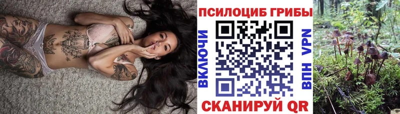 купить наркотик Пущино Псилоцибиновые грибы ЛСД